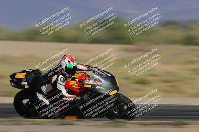 media/Nov-11-2023-SoCal Trackdays (Sat) [[efd63766ff]]/From the Runway (215pm)/